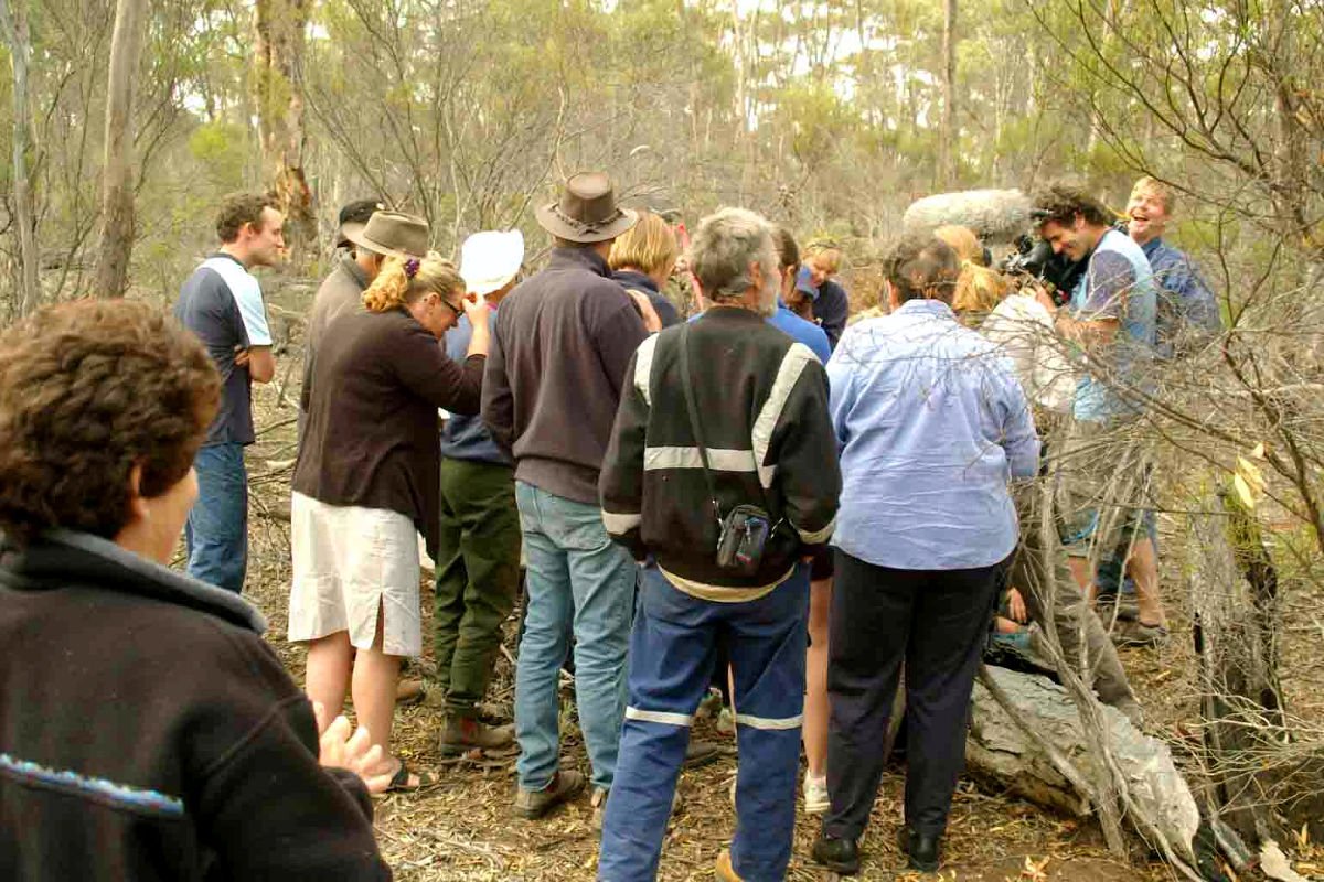 The camera rolls and the crowd gathers as a numbat is about to be released - Home