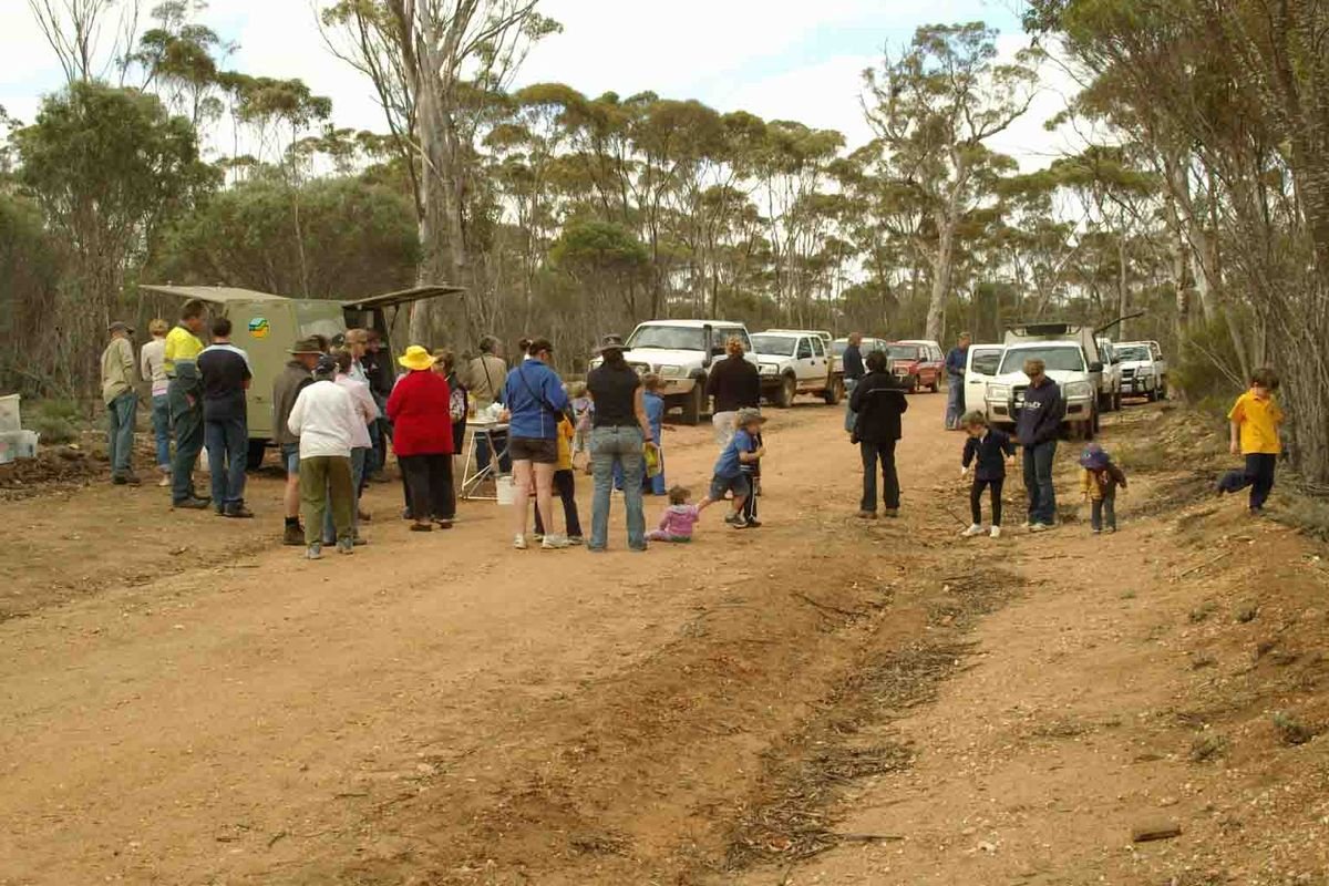 Local people gather for the primary numbat release event, 2009 - Numbat