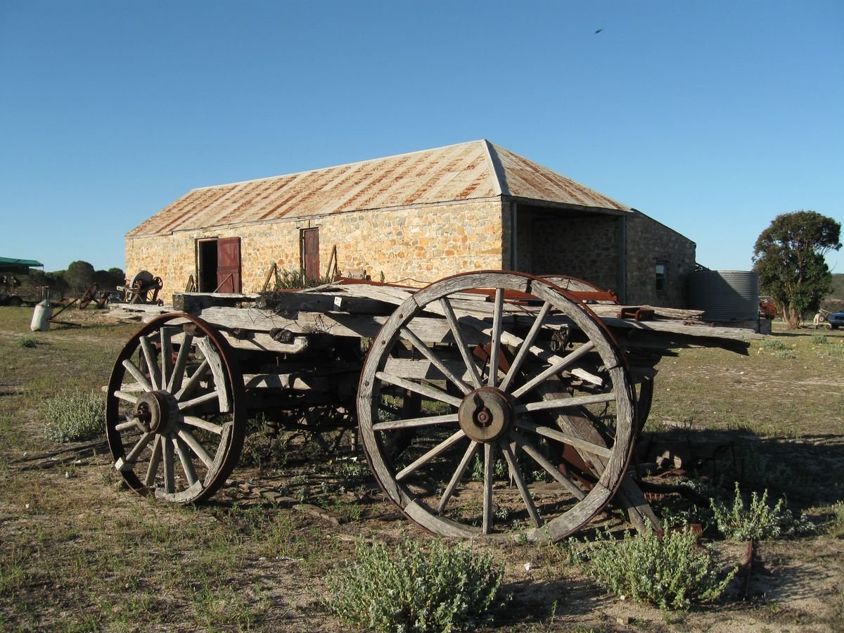 The historic woolshed and horse-drawn wagon - The Dunns